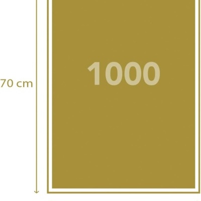 Retângulo mostarda com número 1000 ao centro e dimensões 70x50 cm