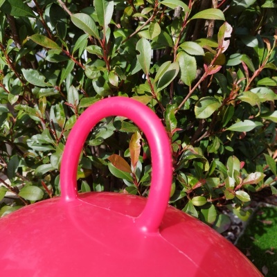 Bola salpicada rosa com pega circular no jardim