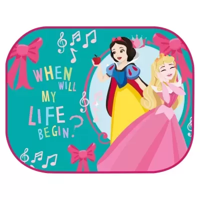 Estojos ou bolsa com princesas Branca de Neve e Aurora e texto colorido