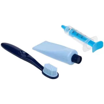 Conjunto para cuidados dentários com escova preta, bisnaga branca e seringa azul