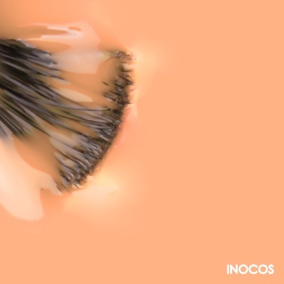 Forma abstrata em pincéis pretos e bege sobre fundo coral com logo INOCOS