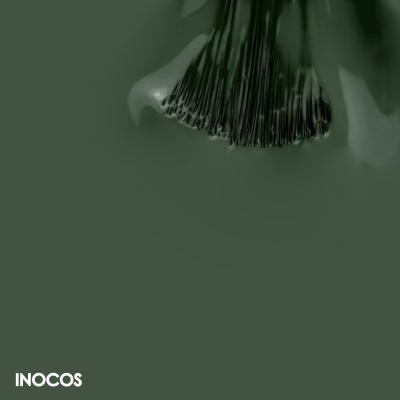 Pincel com cerdas finas pretas e texto INOCOS