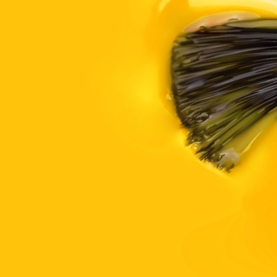Pincel com cerdas pretas em tinta amarela brilhante