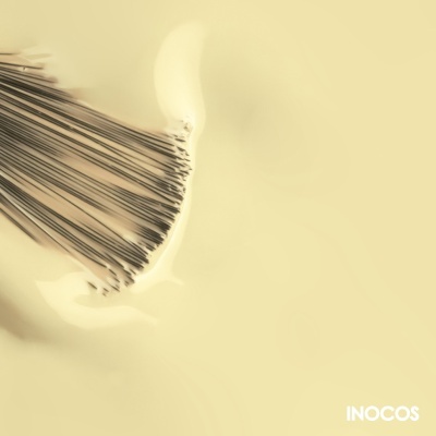 Pincel de cerdas finas pretas sobre fundo creme com a palavra INOCOS