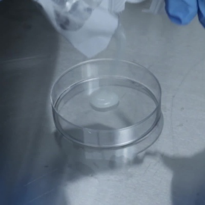 Embalação Fanté Lab Lactose Gel 120 e gel sendo colocado em placa transparente