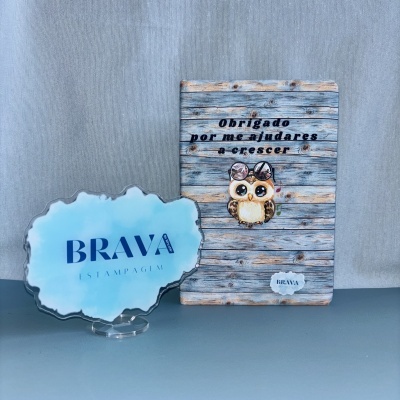 Placa decorativa de madeira com coruja e texto, ao lado de placa acrílica azul com texto BRAVA ESTAMPAGEM