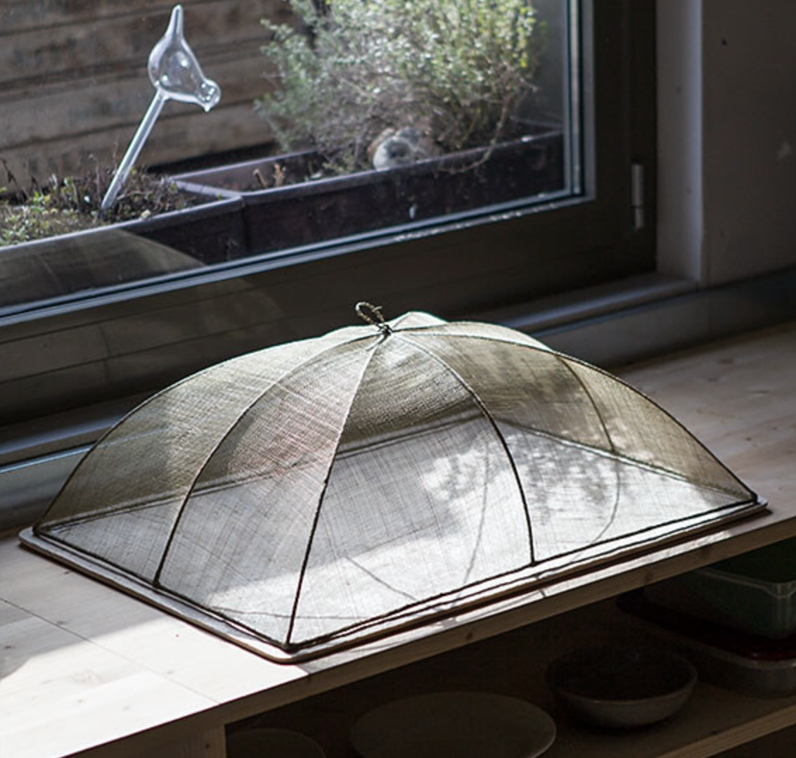 Cobertura alimentar em rede abaca 48x66xh25cm - verde linho Tela metálica para alimentos em forma de cúpula sobre superfície de madeira junto a janela