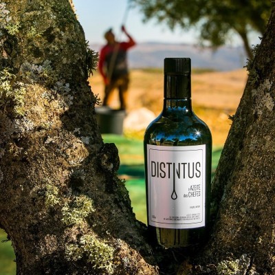 Garrafa de azeite DISTINTUS no tronco de uma árvore em ambiente rural