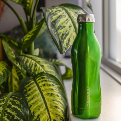 Garrafa metálica verde ao lado de planta com folhas grandes verdes e amarelas.