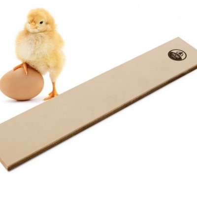 Pintainho amarelo com ovo castanho e placa bege com selo preto