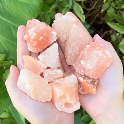 Pedaços de sal do Himalaia cor de rosa e branco nas mãos sobre fundo de folhas verdes