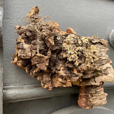 Peça de cortiça natural presa numa porta cinza com puxador metálico