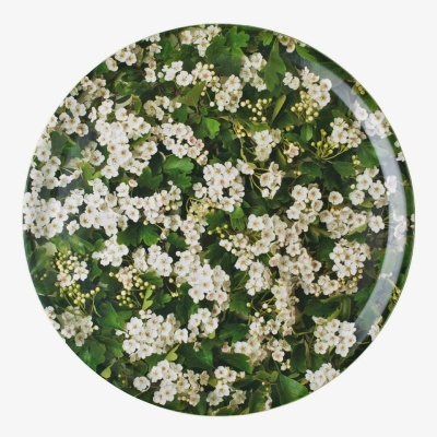 Prato redondo com padrão floral de flores brancas e folhas verdes