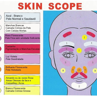 Gráfico SKIN SCOPE com face colorida e legenda explicativa sobre tipos de pele e condições