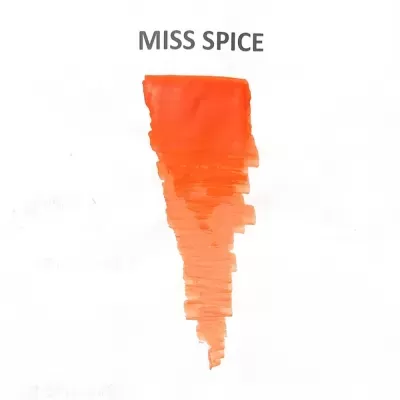 Traço de tinta alaranjada com texto 'MISS SPICE' acima