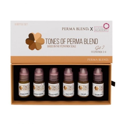 Conjunto de 6 frascos de tinta Perma Blend em caixa com texto e logotipo