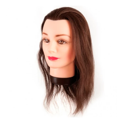 Cabeça de manequim com cabelo castanho escuro