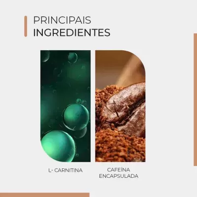 Principais ingredientes L-Carnitina e Cafeína Encapsulada com imagens ilustrativas