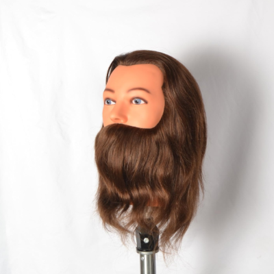 Cabeça de manequim com cabelo e barba castanhos sobre fundo branco