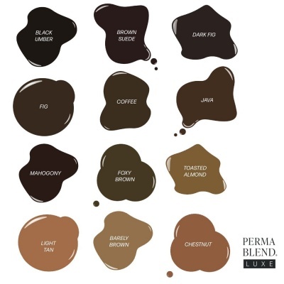 Amostras de cores de tinta marrons com texto e logotipo Perma Blend Luxe