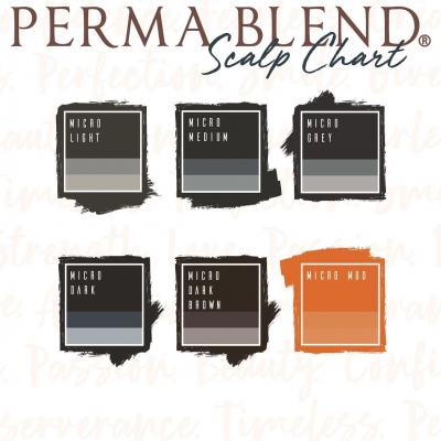 Gráfico de cores de cabelo PERMA BLEND com seis amostras de cor