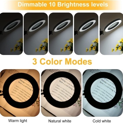 Luminária de anel com 10 níveis de brilho e 3 modos de cor iluminando página de livro com flores amarelas de fundo