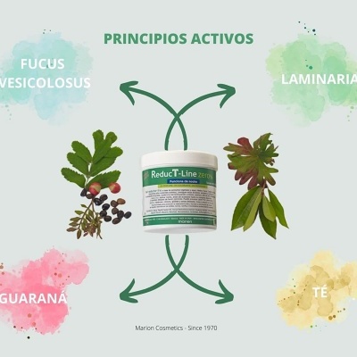 Frasco de produto Reduct-Line rodeado por quatro plantas e texto de ingredientes ativos.