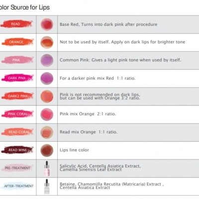Tabela de cores para lábios com amostras coloridas e texto descritivo em inglês