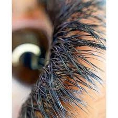 Óculo castanho com pestanas longas e pretas