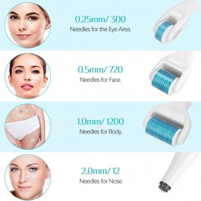 Rolos de microagulhas de diferentes tamanhos para olhos, rosto, corpo e nariz com texto descritivo.