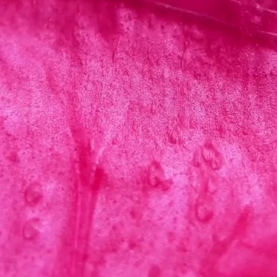 Produto Between rosa num copo de cocktail com gelo e água a ser vertida