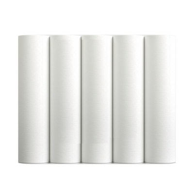 Cinco rolos brancos de papel toalha alinhados