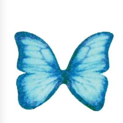 Borboleta estilizada azul com padrão de asas em fundo branco