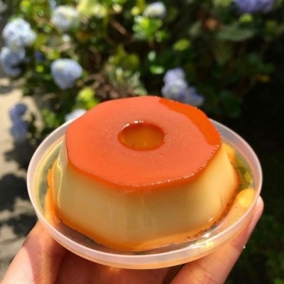 Flan de caramelo em recipiente plástico transparente com fundo de natureza