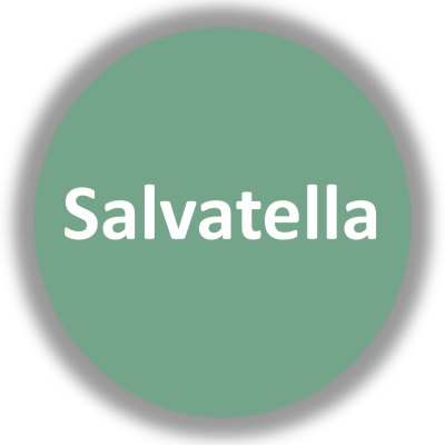 Logotipo da Salvatella em círculo verde