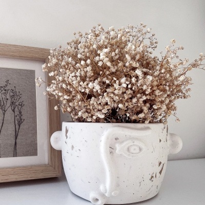 vaso branco de cerâmica com ramo seco de flores e moldura com silhuetas de plantas