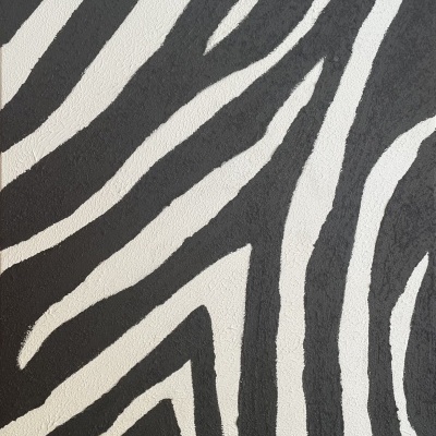 Padrão de riscas zebra preto e branco em textura próxima
