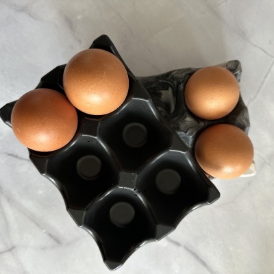 Caixa preta de plástico com ovos castanhos sobre superfície branca