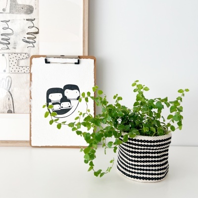 Planta verde em vaso tricotado branco com riscas pretas e quadros decorativos em fundo branco