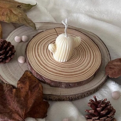 Vela em forma de cacto creme sobre tábuas de madeira com folhas secas e pinhas ao redor