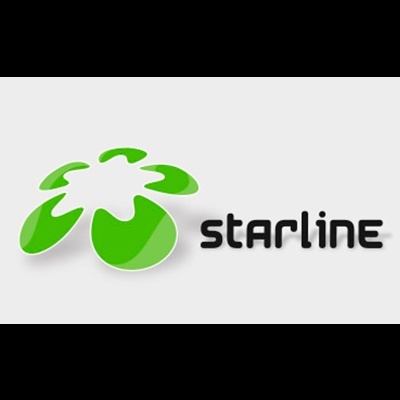 Logótipo com gráfico verde e texto 