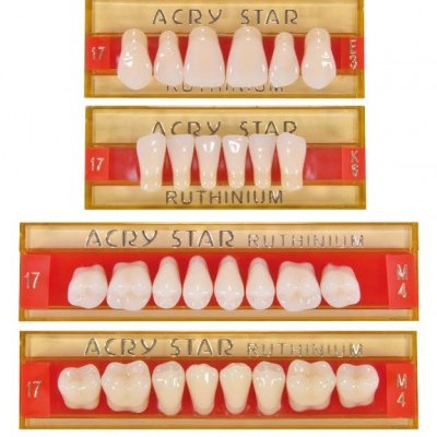 Conjunto de dentes artificiais em bases plásticas com texto e números