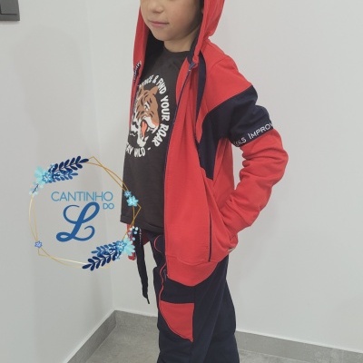 Criança com conjunto desportivo vermelho e azul e t-shirt preta com estampa de tigre