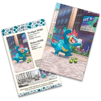 Cartas de Pokémon com imagem e informações de Feraligatr e Budew