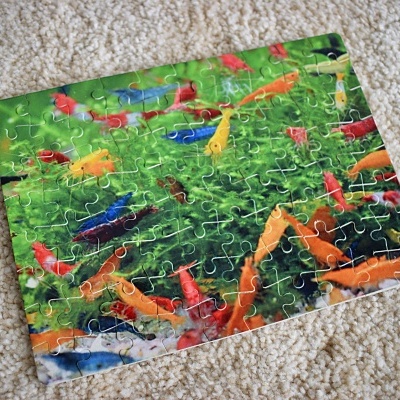 Quebra-cabeças de peixes coloridos sobre tapete bege