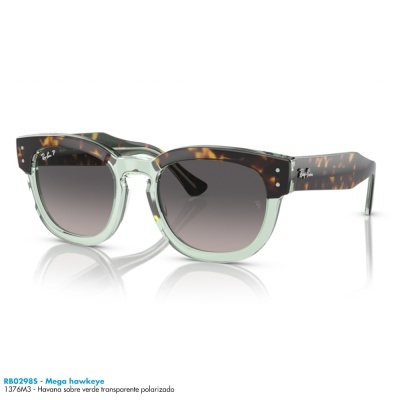 Óculos de sol Ray-Ban RB0298S - Mega hawkeye
