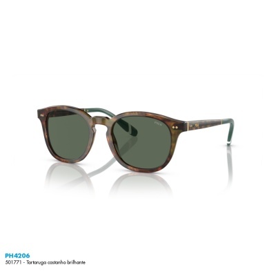 Óculos de sol Polo Ralph Lauren PH4206 Óculos de sol Polo Ralph Lauren PH4206