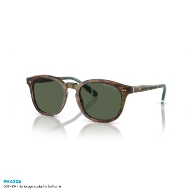 Óculos de sol Polo Ralph Lauren PH4206 Óculos de sol Polo Ralph Lauren PH4206