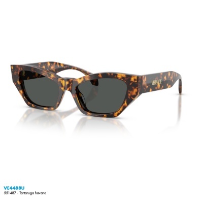 Óculos de sol Versace VE4488U