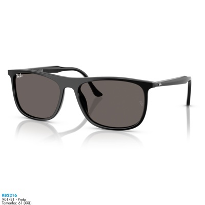 Óculos de sol Ray-Ban RB2216